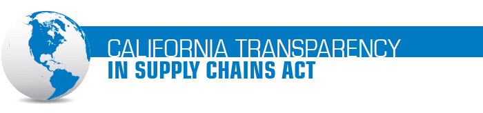 A gray and blue graphic of Earth next to the title, 'California Transparency in Supply Chains Act'.